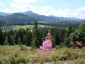DSC03939 01